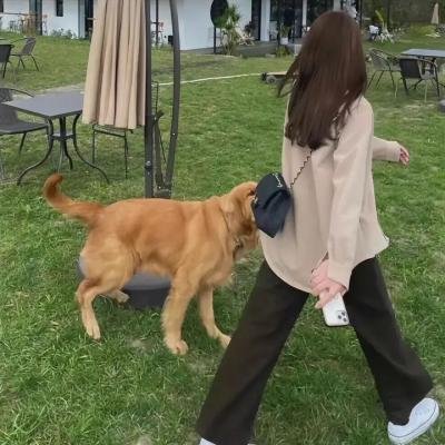 挪威的抵抗